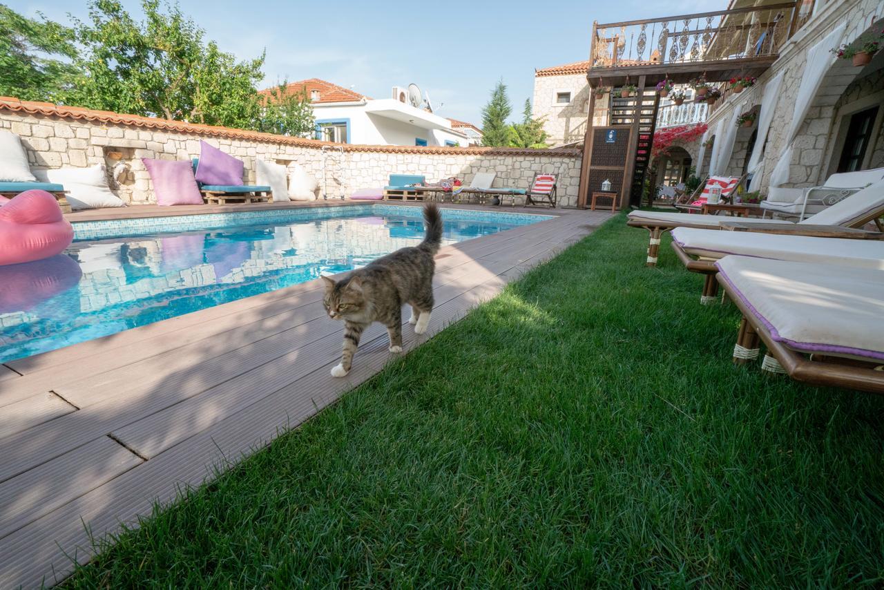 אלאקאטי Nobela Hotel מראה חיצוני תמונה