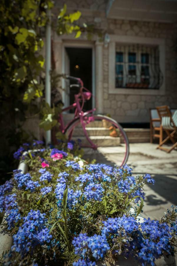 אלאקאטי Nobela Hotel מראה חיצוני תמונה